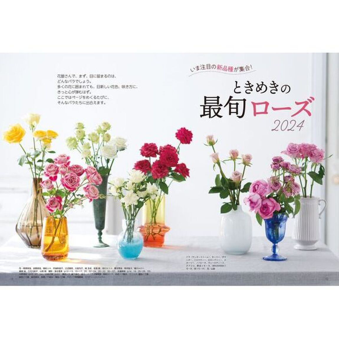 花時間　ＮＯ．２６４（２０２４春夏）「「＃バラ活」のすすめ」