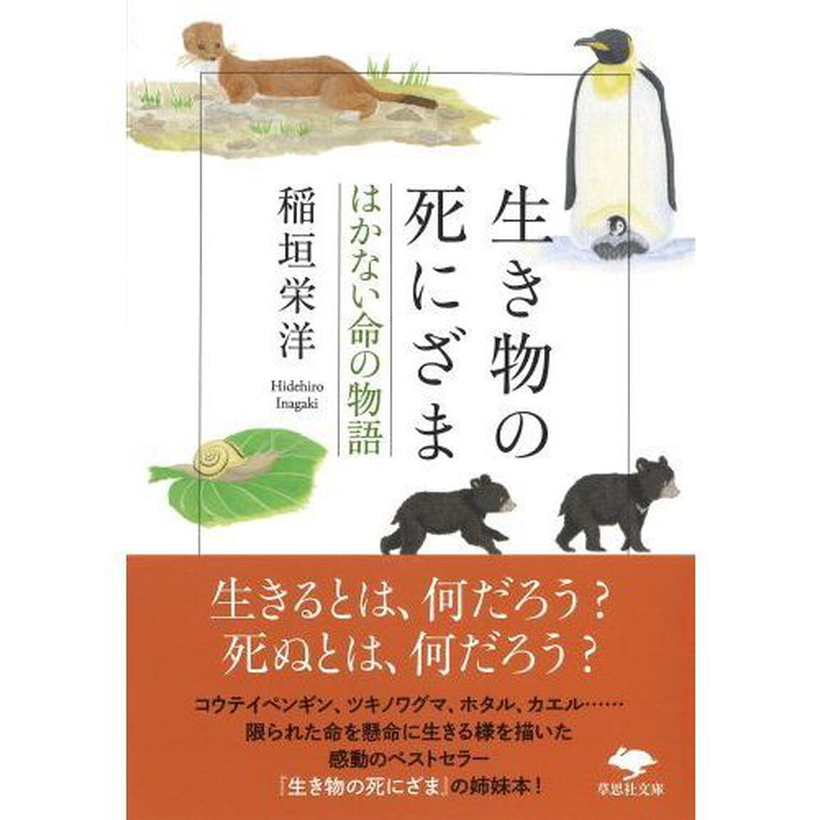 生き物の死にざま　はかない命の物語