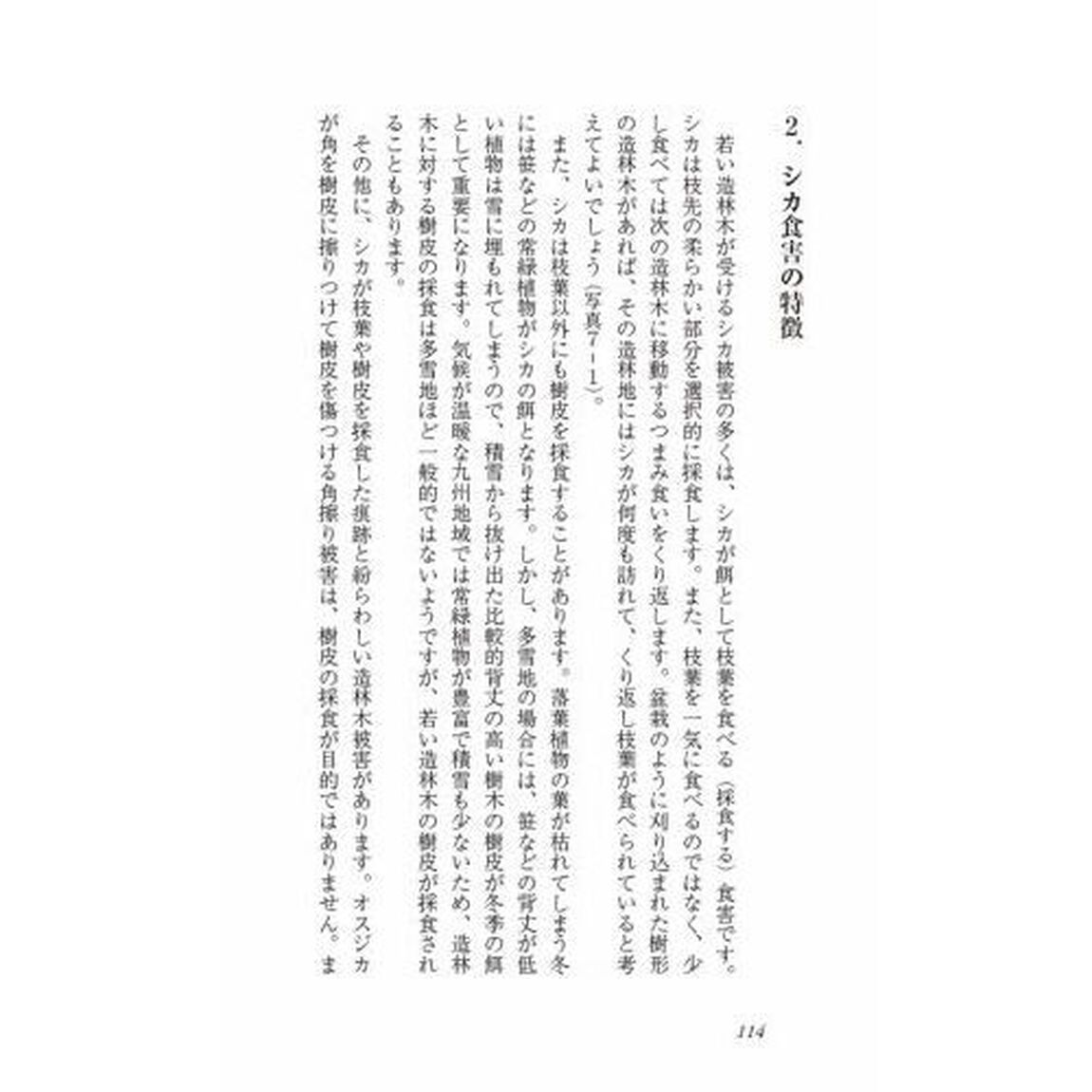 低コスト再造林歩みと最新技術