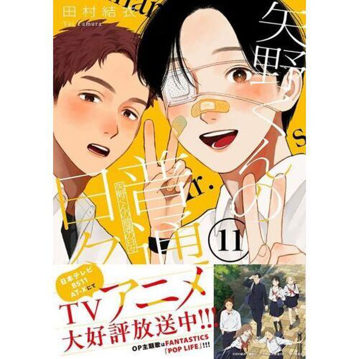 矢野くんの普通の日々 11