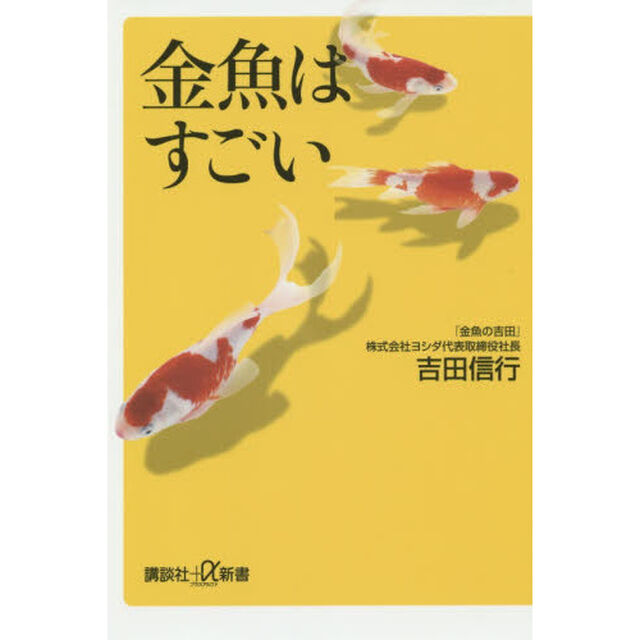 金魚はすごい
