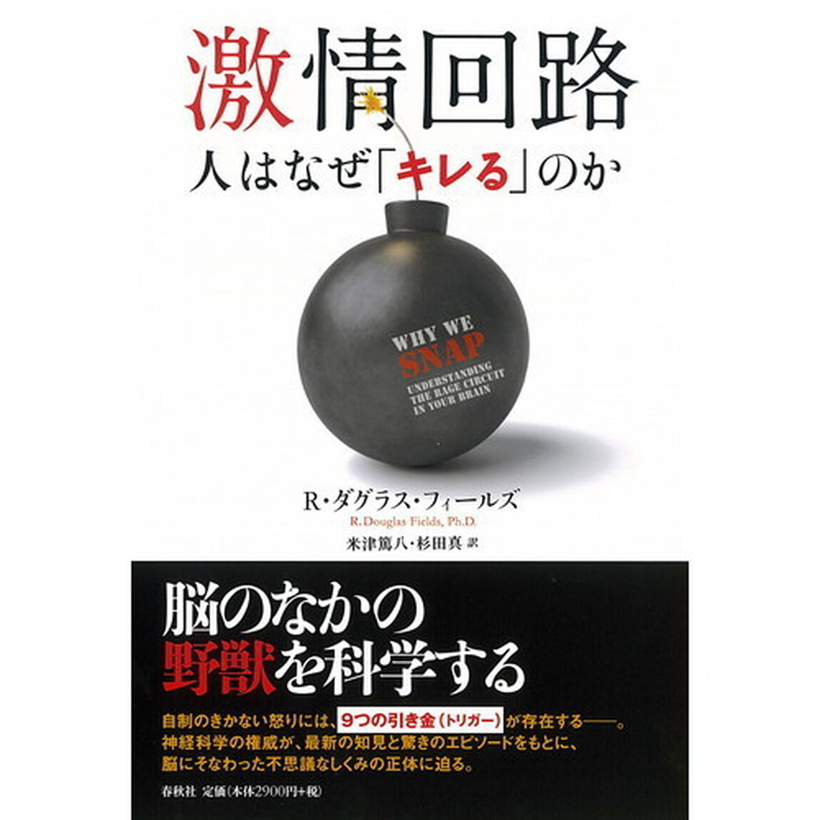 激情回路　人はなぜ「キレる」のか