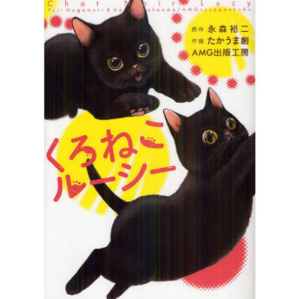 くろねこルーシー