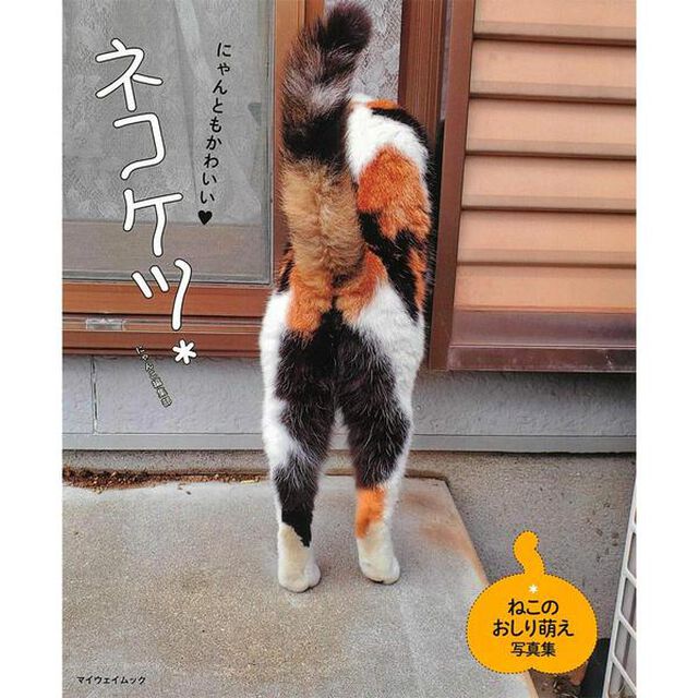 ネコケツ* (マイウェイムック)