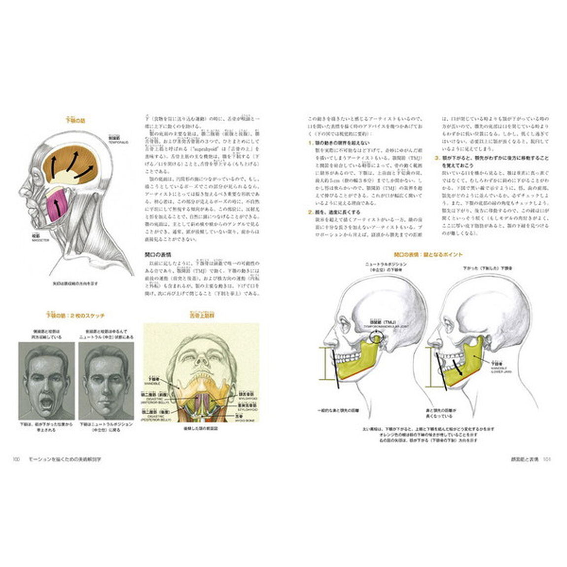 モーションを描くための美術解剖学　関節、筋肉の繊細な動きを理解し、デッサン・漫画・アニメーション・彫刻、生体観察に活かす