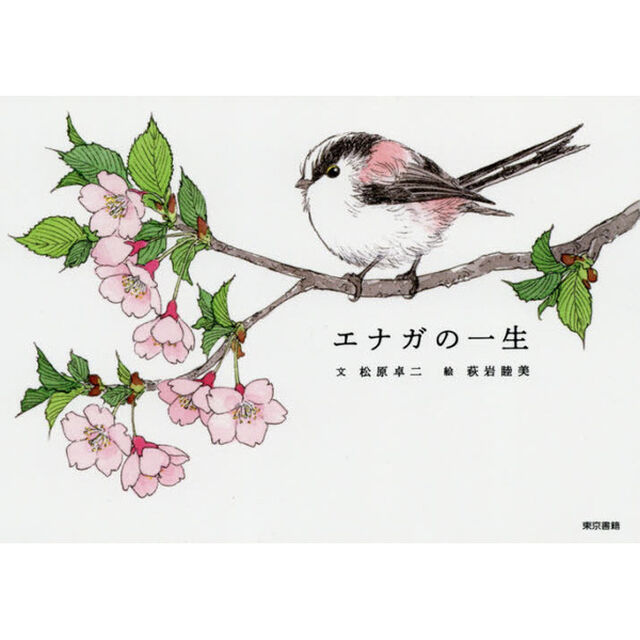 エナガの一生