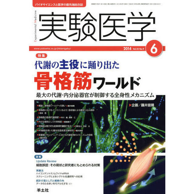 実験医学 2014年6月号　代謝の主役に踊り出た 骨格筋ワールド〜最大の代謝・内分泌器官が制御する全身性メカニズム「〈特集〉代謝の主役に踊り出た骨格筋ワールド」