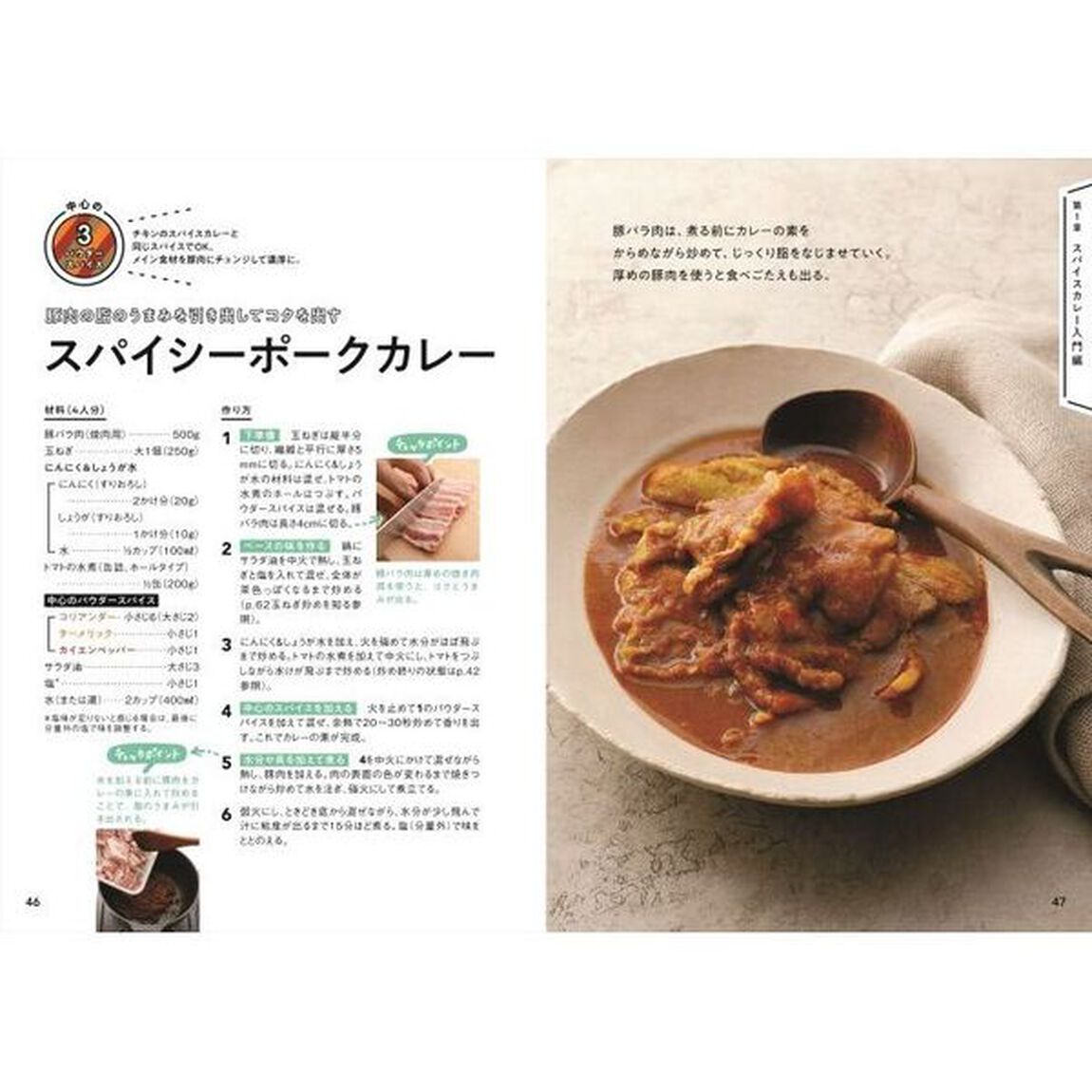 スパイスカレーの教科書　理由がわかればもっと美味しく作れる！　Ｌｅｔ&rsquo;ｓ　ｅｎｊｏｙ　ＳＰＩＣＥ　ＣＵＲＲＹ