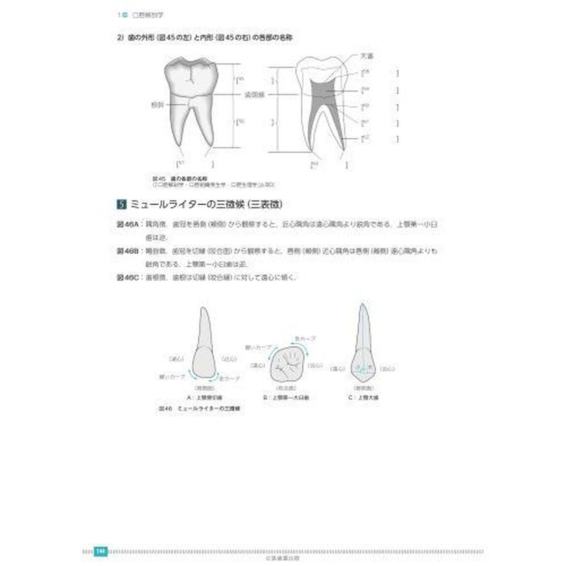 歯科衛生士書き込み式学習ノート　１「第３版」「専門基礎科目編　人体の構造と機能／歯・口腔の構造と機能／疾病の成り立ち及び回復過程の促進」