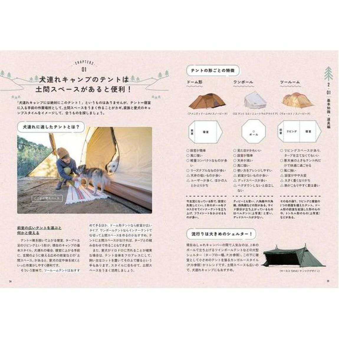 愛犬と楽しむキャンプ徹底サポートＢＯＯＫ