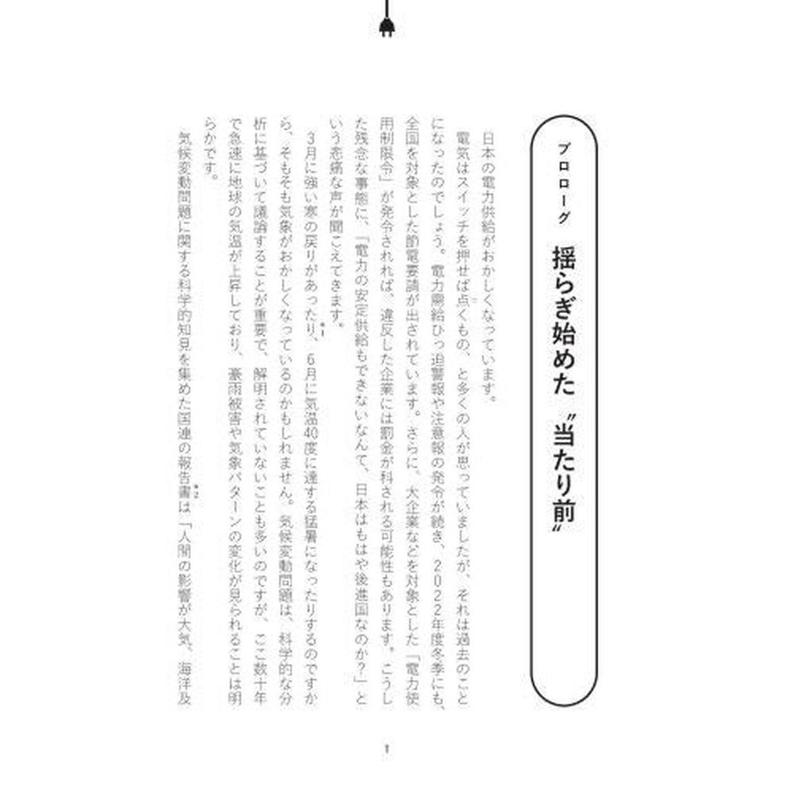 電力崩壊　戦略なき国家のエネルギー敗戦