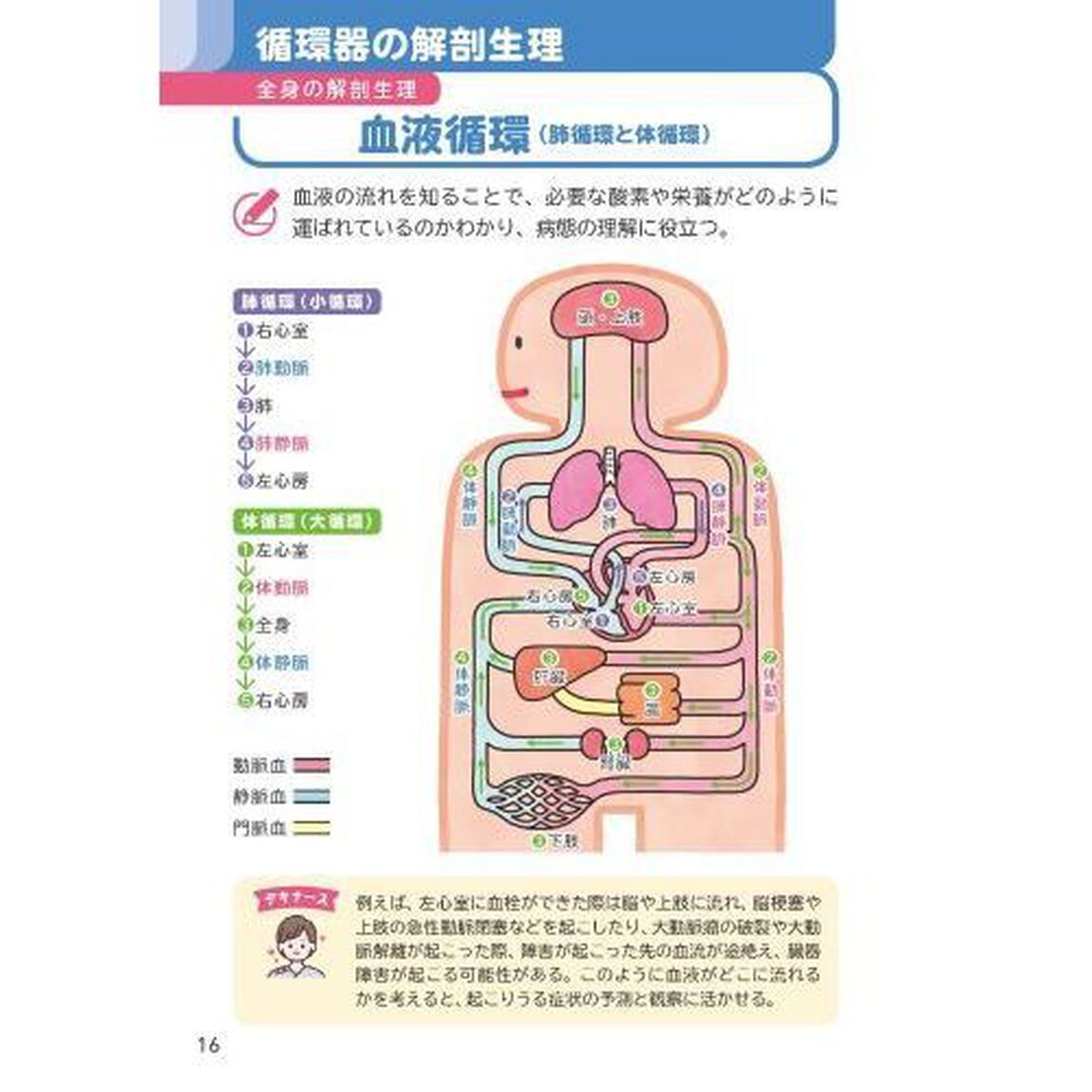 循環器