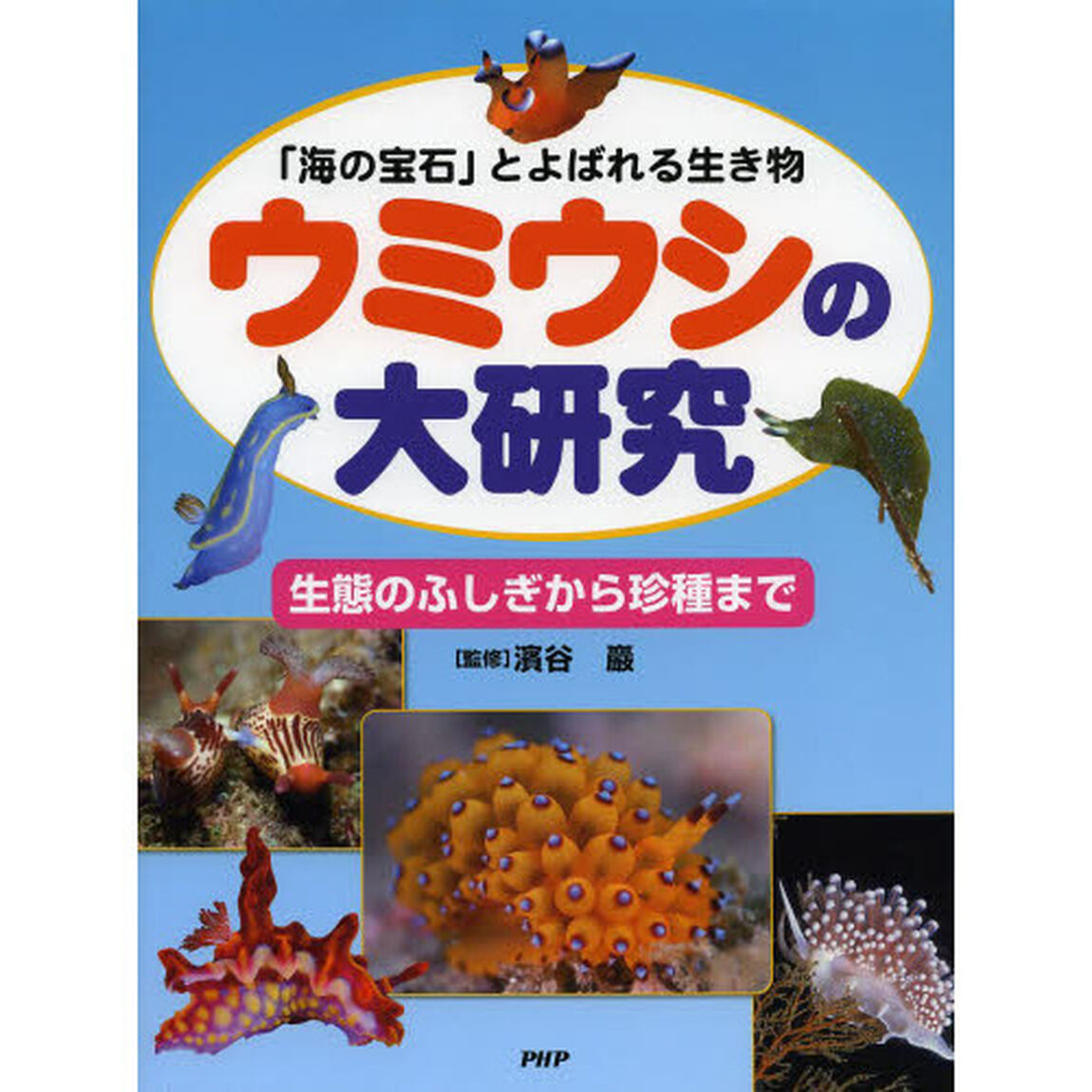 ウミウシの大研究　「海の宝石」とよばれる生き物　生態のふしぎから珍種まで