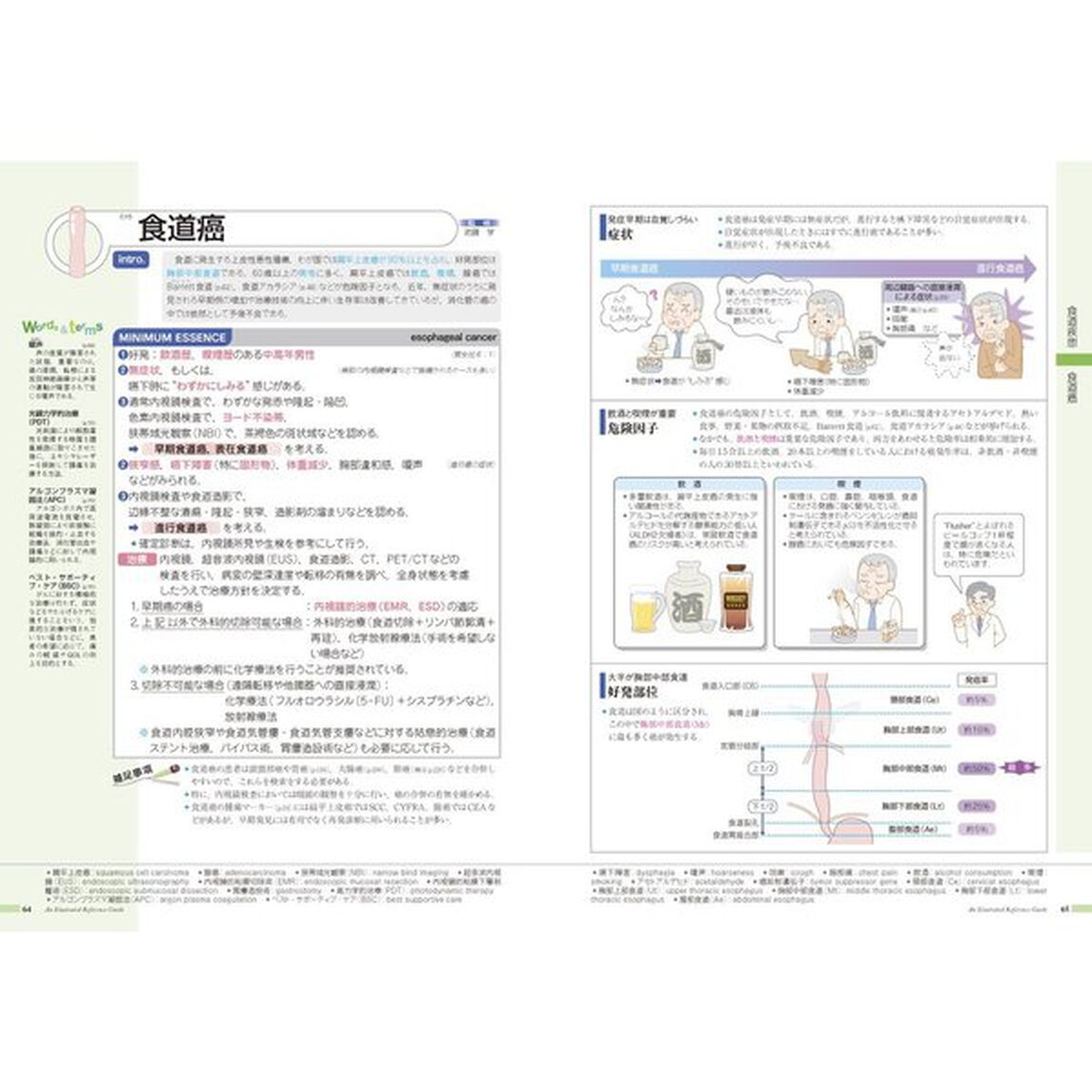 病気がみえる 〈vol.1〉 消化器「第５版」「消化器」