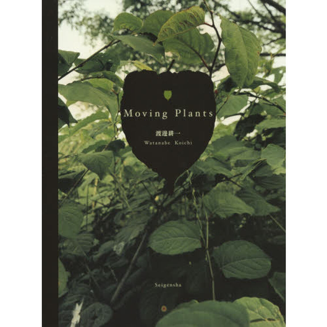 Ｍｏｖｉｎｇ　Ｐｌａｎｔｓ