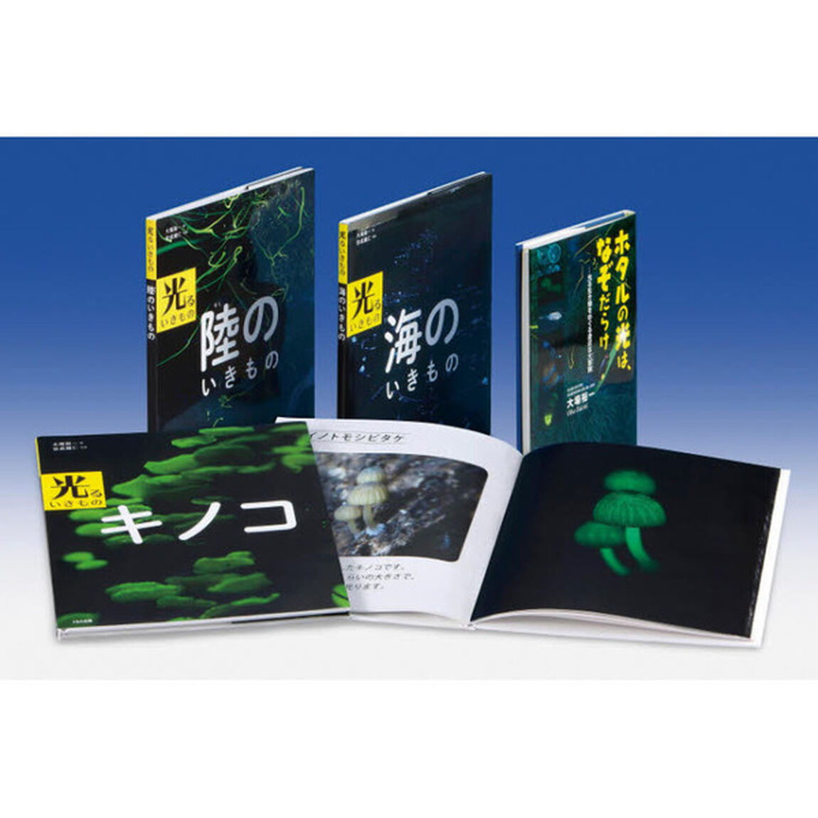 光るいきもの　４巻セット