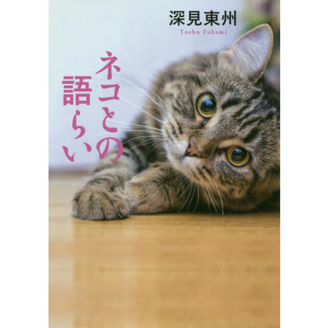 ネコとの語らい