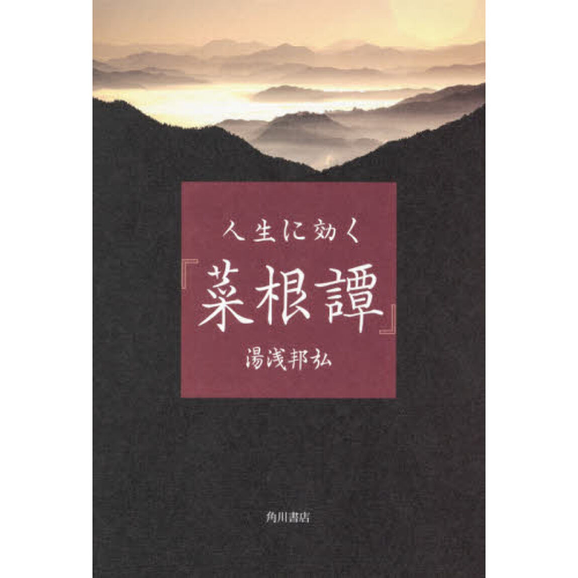人生に効く『菜根譚』