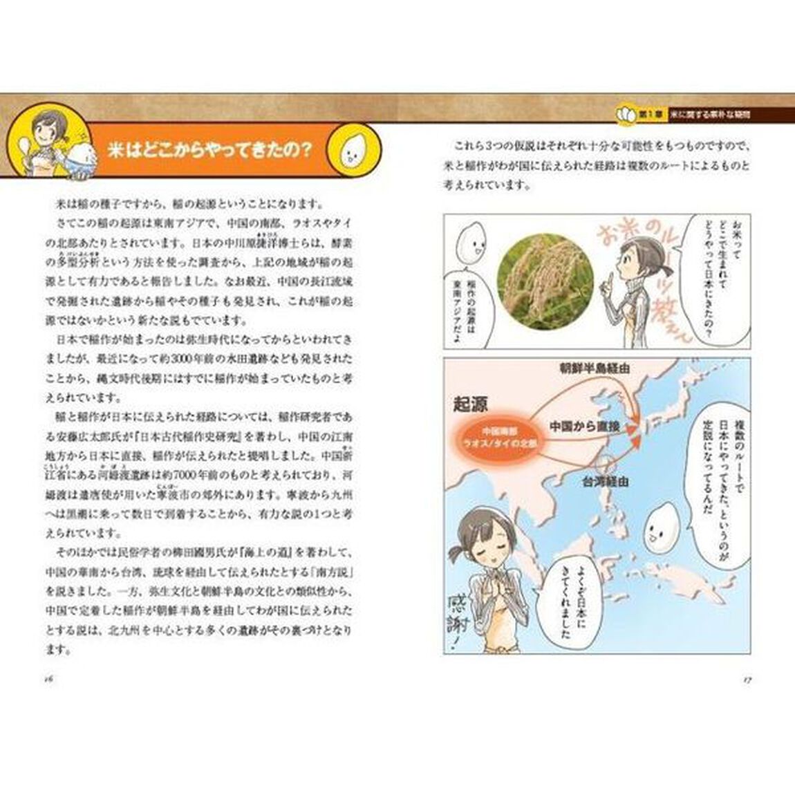 マンガでわかる米の疑問　米のルーツからお