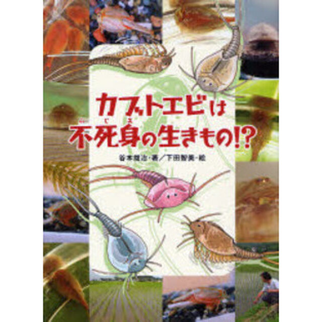 カブトエビは不死身の生きもの！？