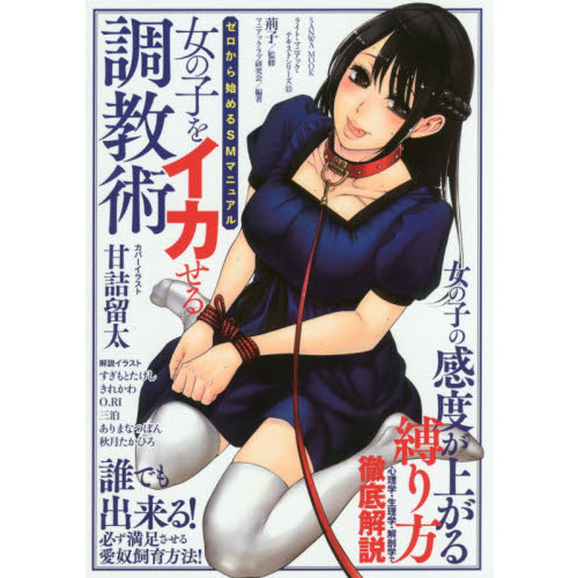 女の子をイカせる調教術　ゼロから始めるＳ