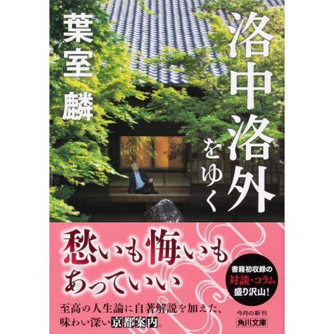 洛中洛外をゆく