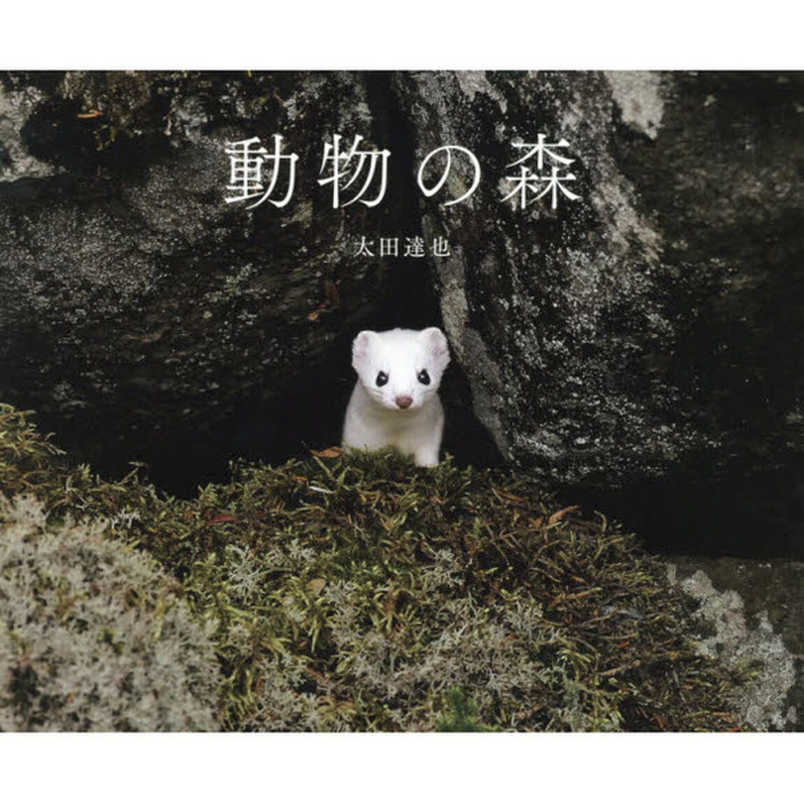動物の森