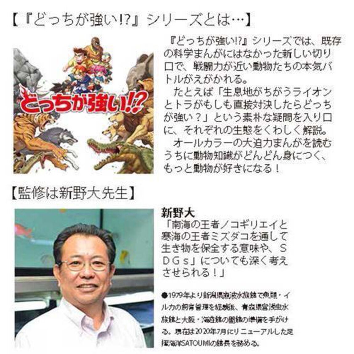 どっちが強い！？ミズダコＶＳ（たい）ノコギリエイ　海底忍者の大一番