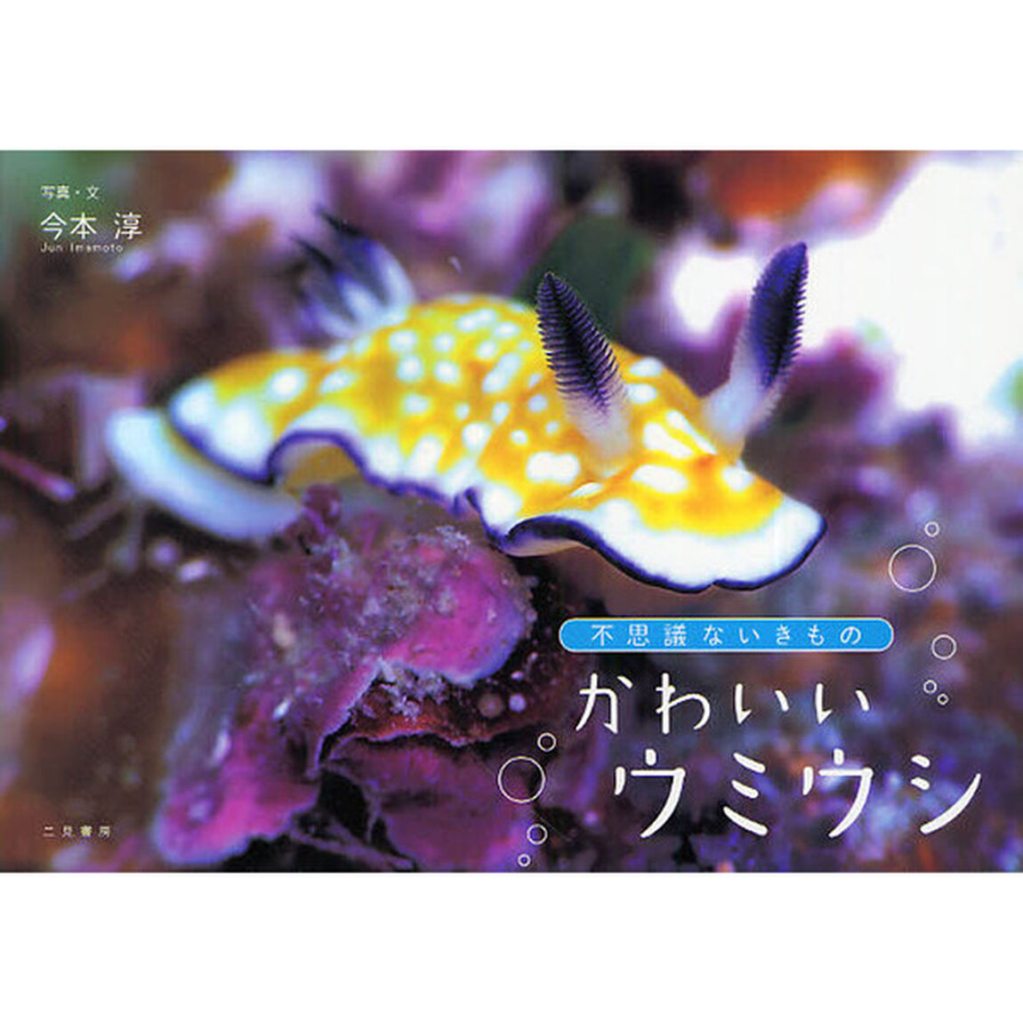 かわいいウミウシ　不思議ないきもの