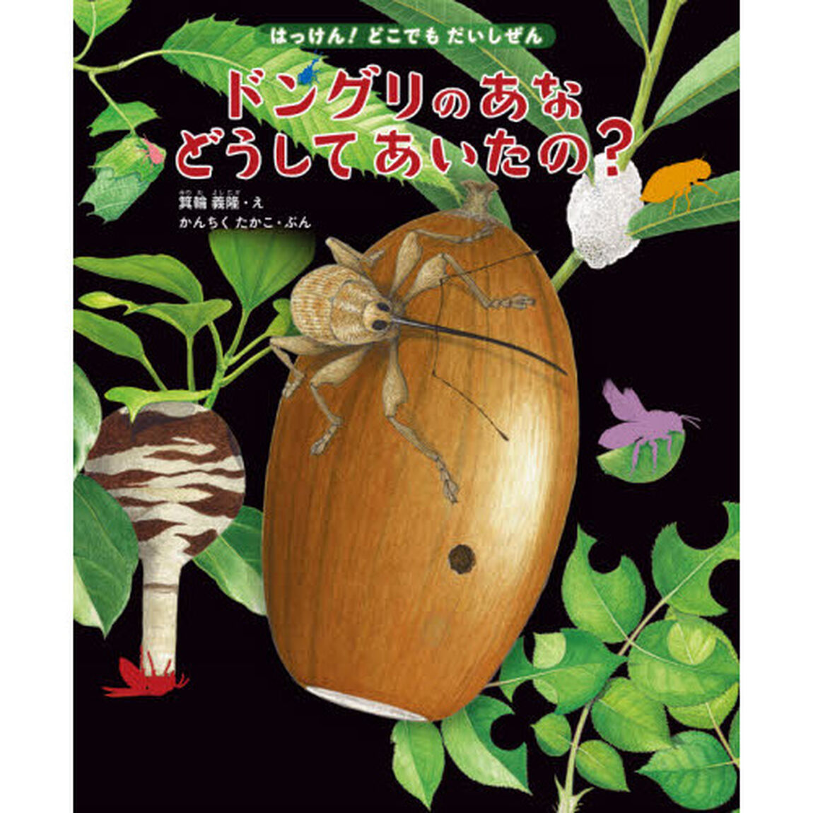 ドングリのあなどうしてあいたの？　これ、だれのせい？虫のしわざ１４