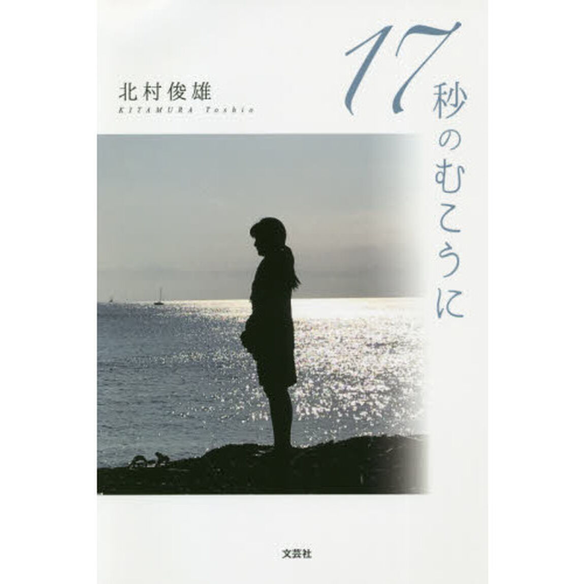 １７秒のむこうに