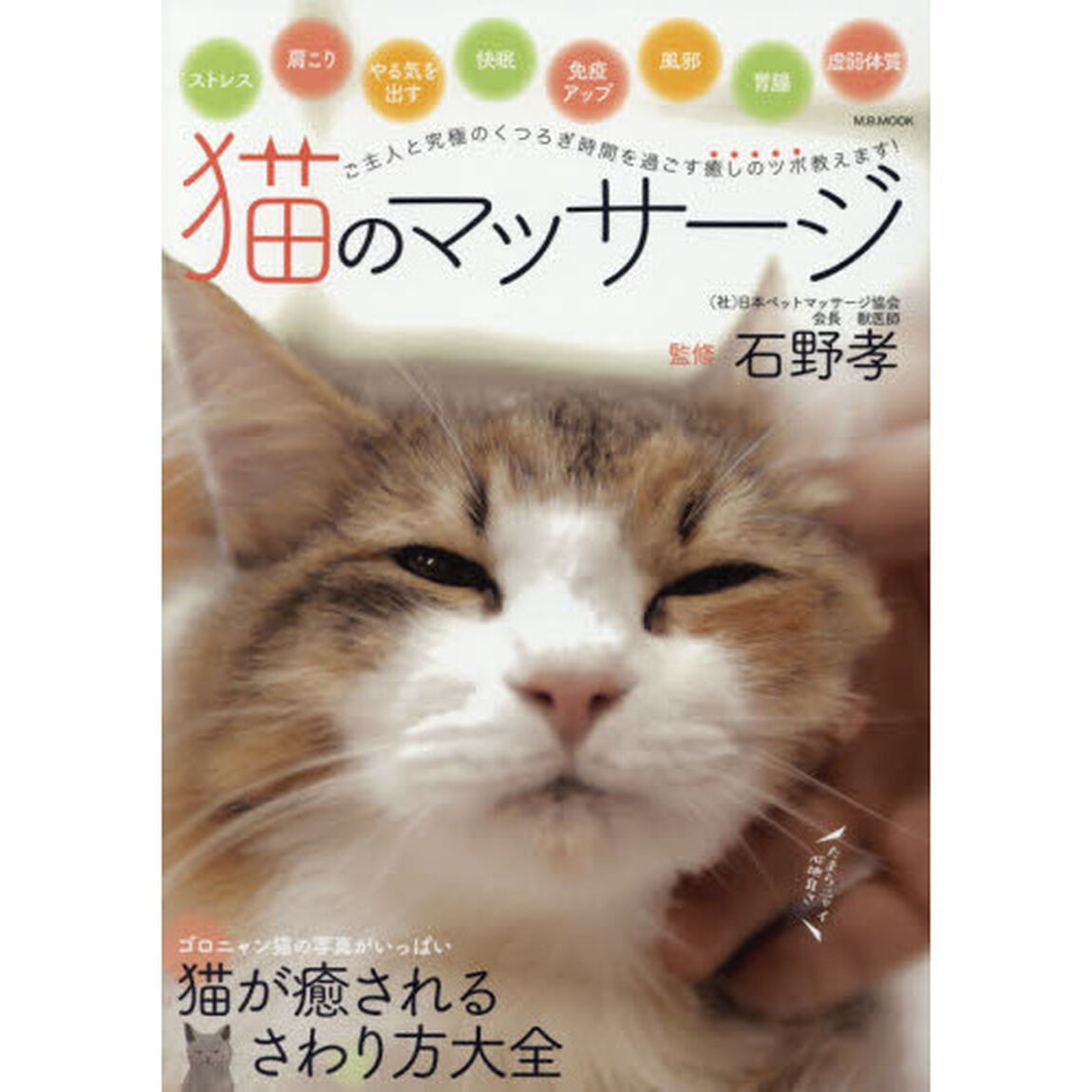 猫のマッサージ