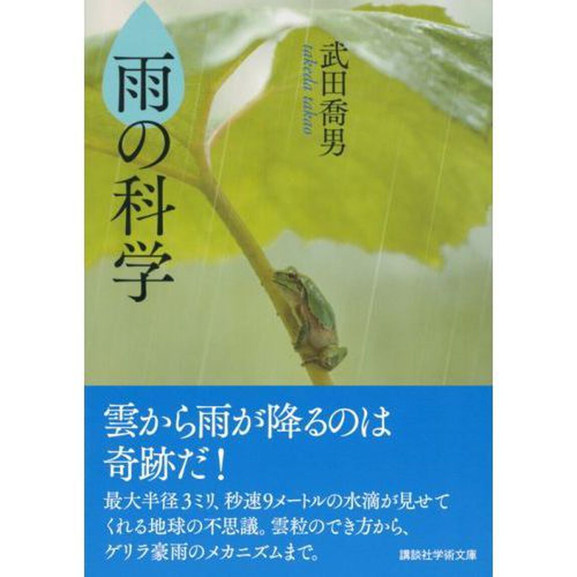 雨の科学