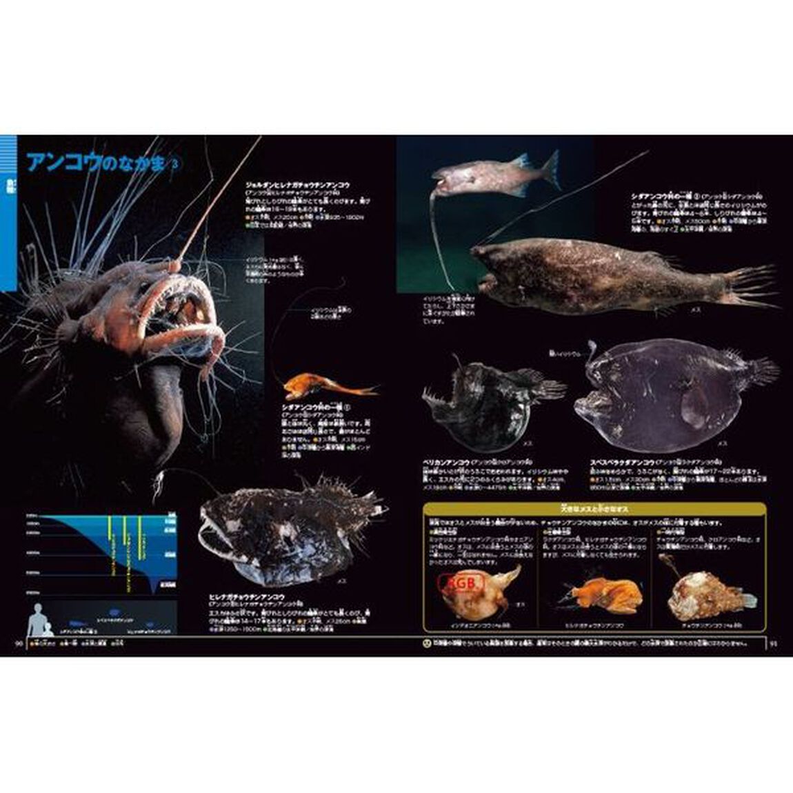 深海生物