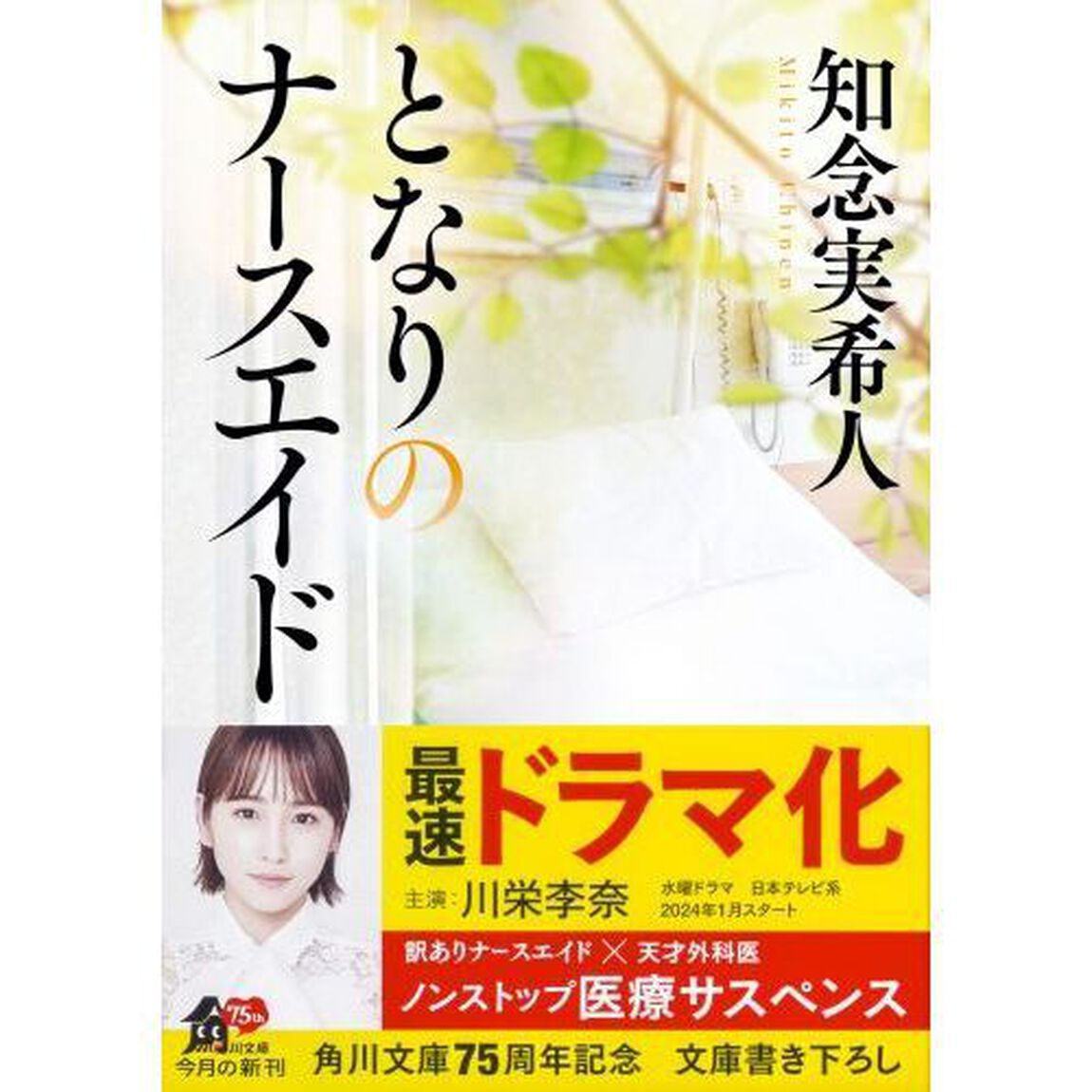 となりのナースエイド
