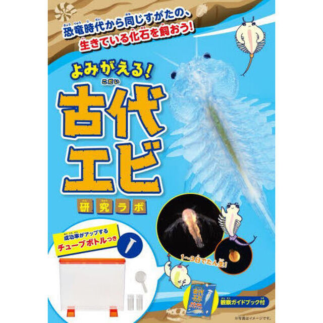 よみがえる！古代エビ研究ラボ