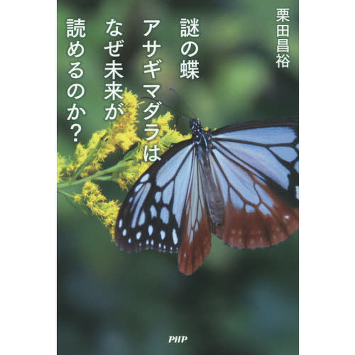 謎の蝶アサギマダラはなぜ未来が読めるのか？