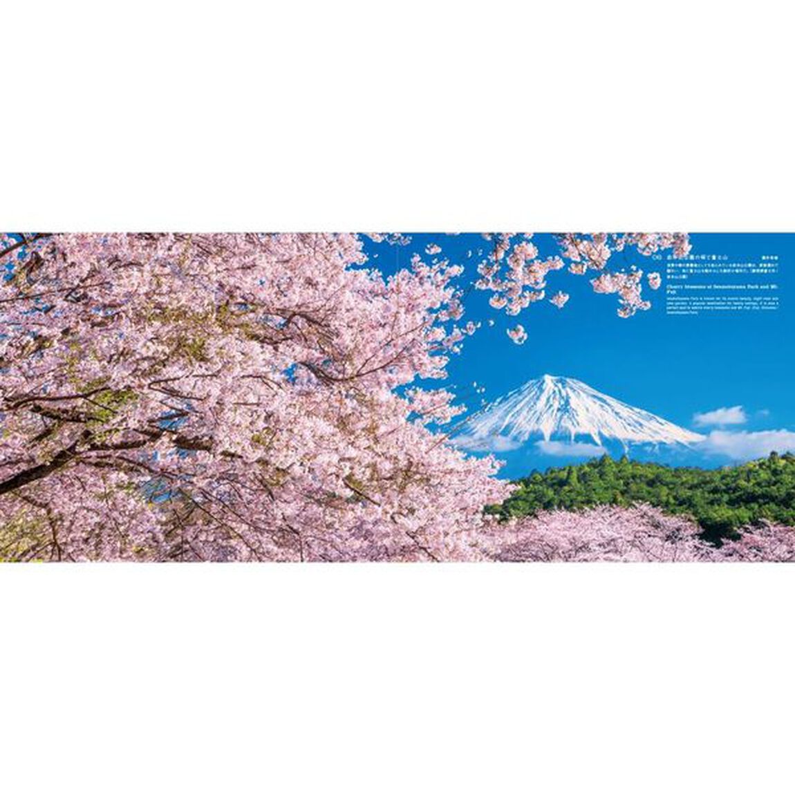 富士山八十八景