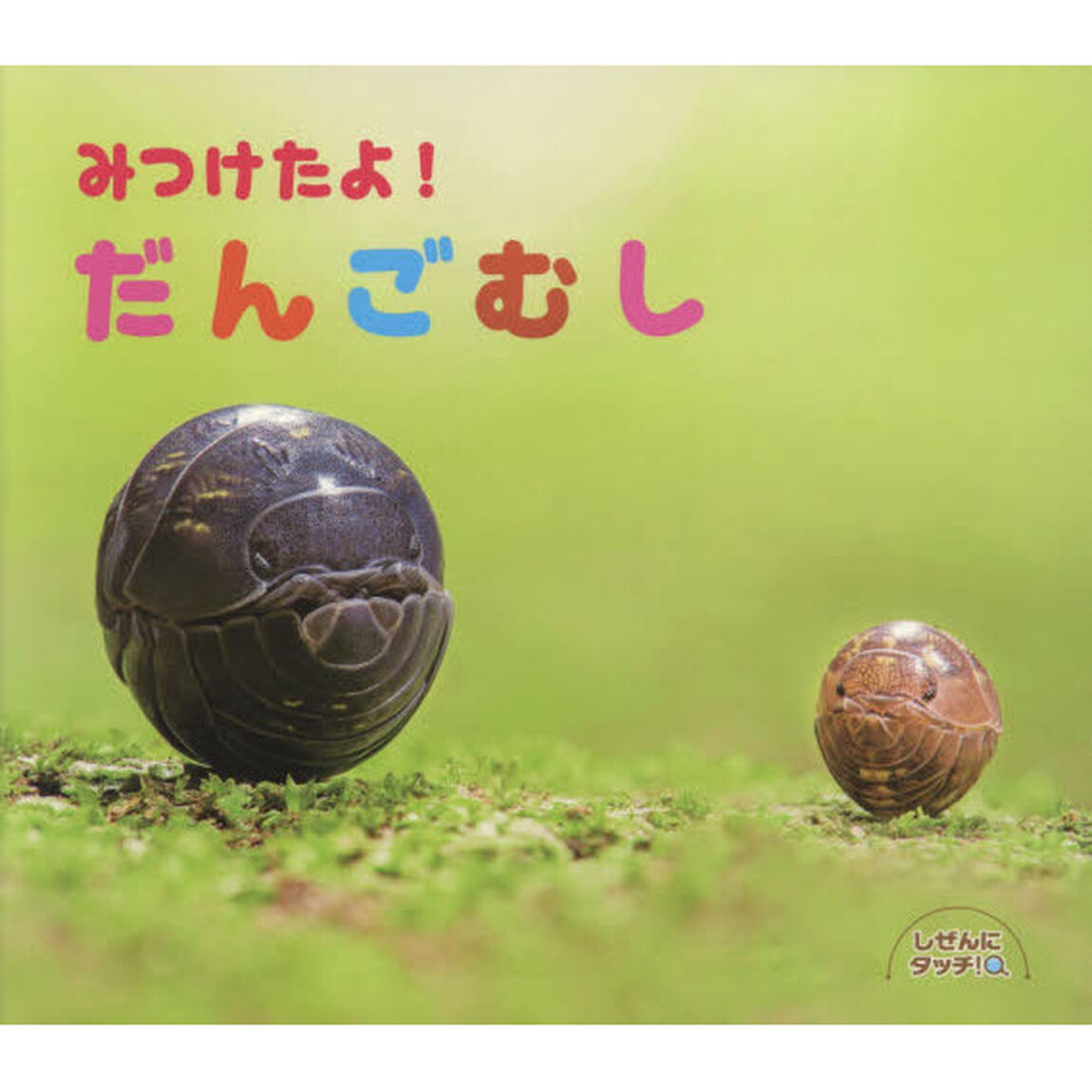 みつけたよ！だんごむし