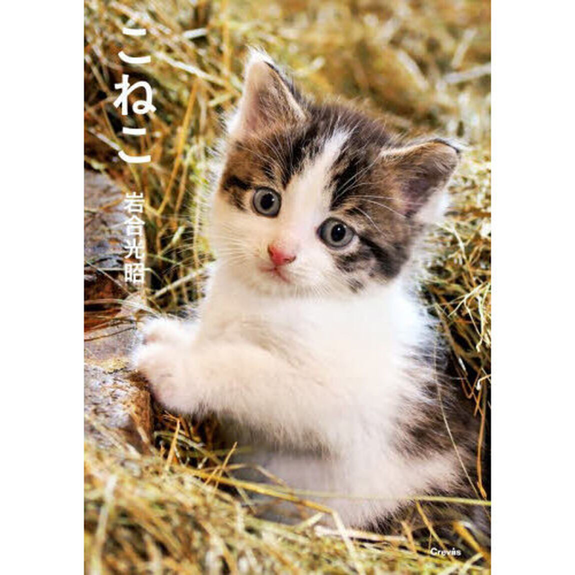 こねこ
