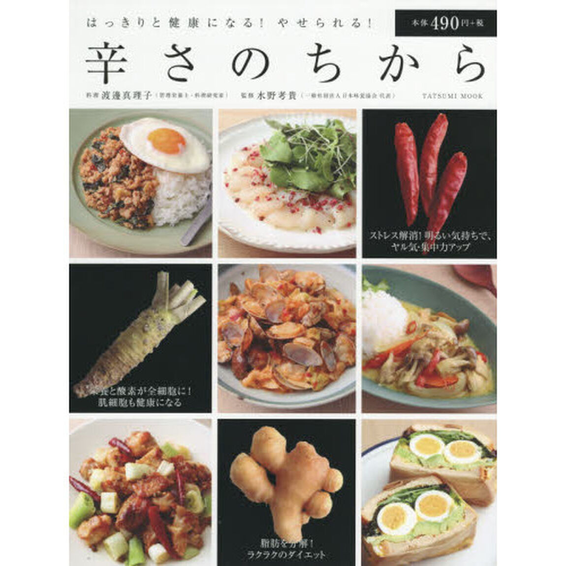 辛さのちから (タツミムック)