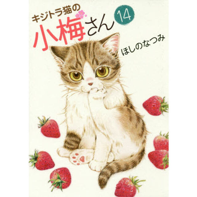 キジトラ猫の小梅さん　１４