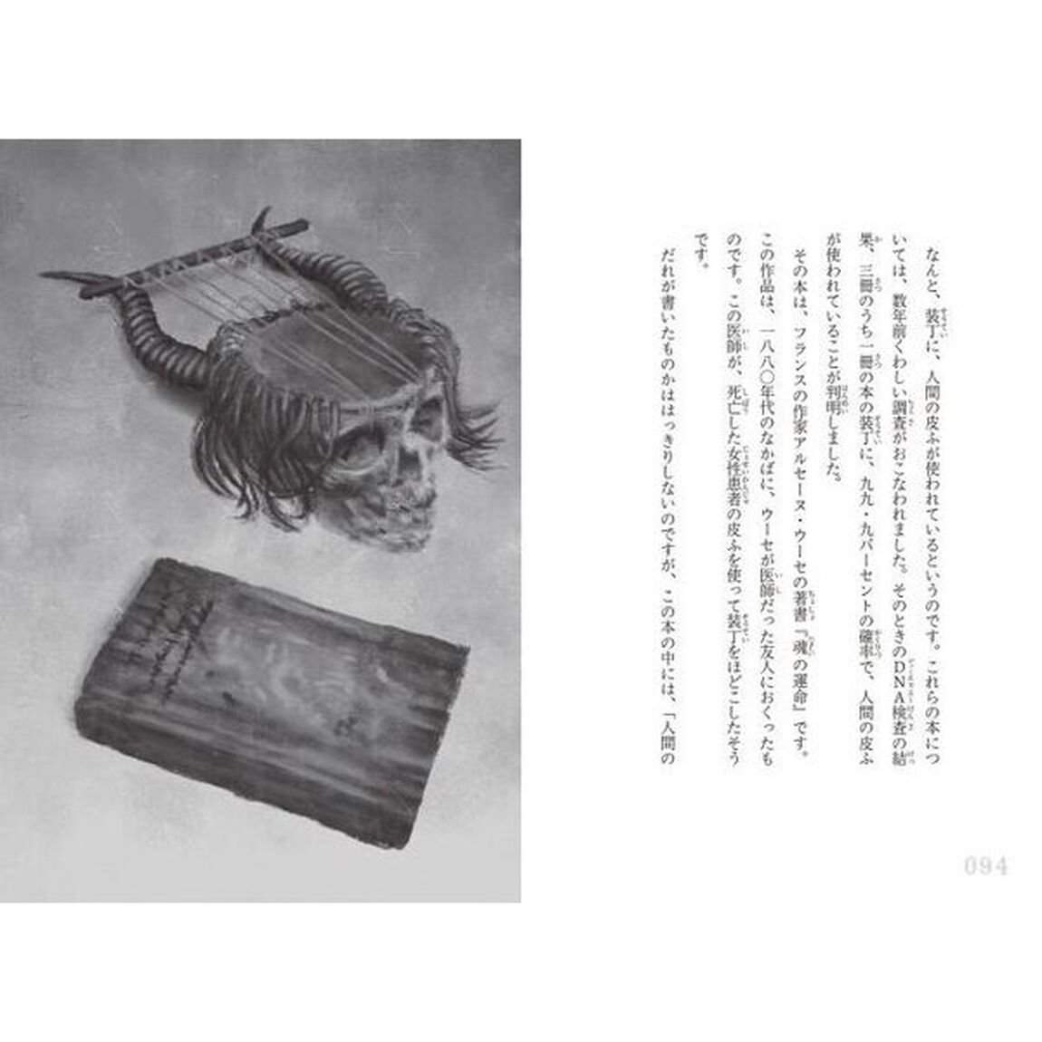 ネッシーはいるのか？