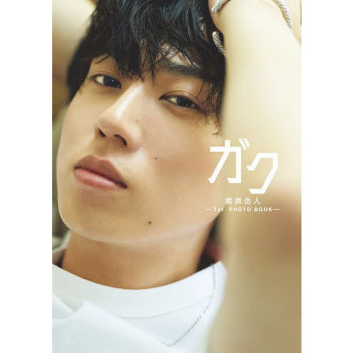 ガク　梶原岳人－１ｓｔ　ＰＨＯＴＯ　ＢＯＯＫ－