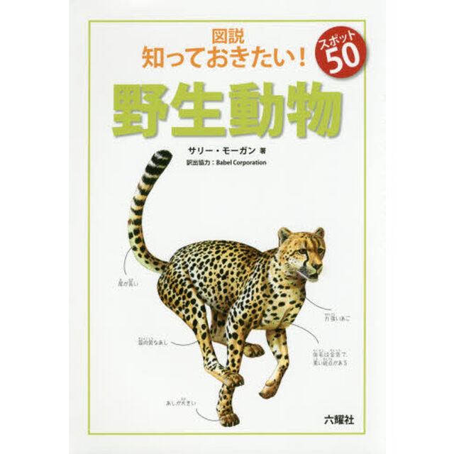 図説知っておきたい！スポット５０野生動物
