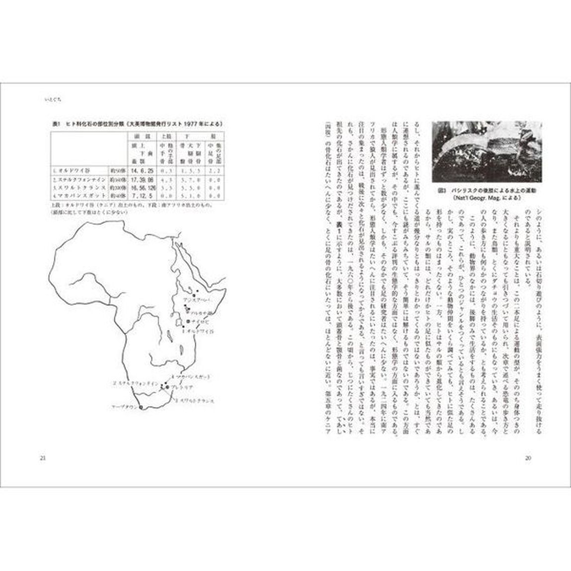 ヒトの足　この謎にみちたもの