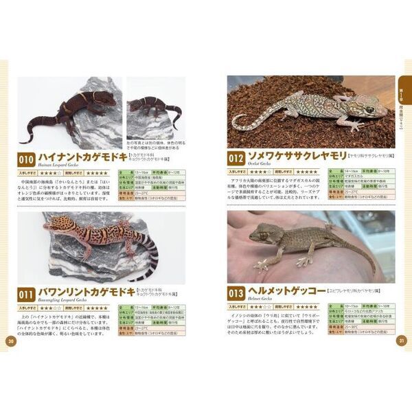 飼いたい種類が見つかる爬虫類・両生類図鑑 人気種から希少種まで厳選