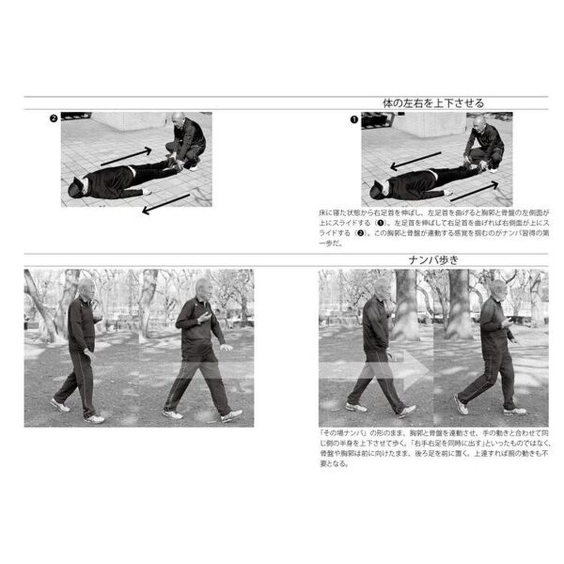 歩法の極意　ナンバ歩きから縮地法まで