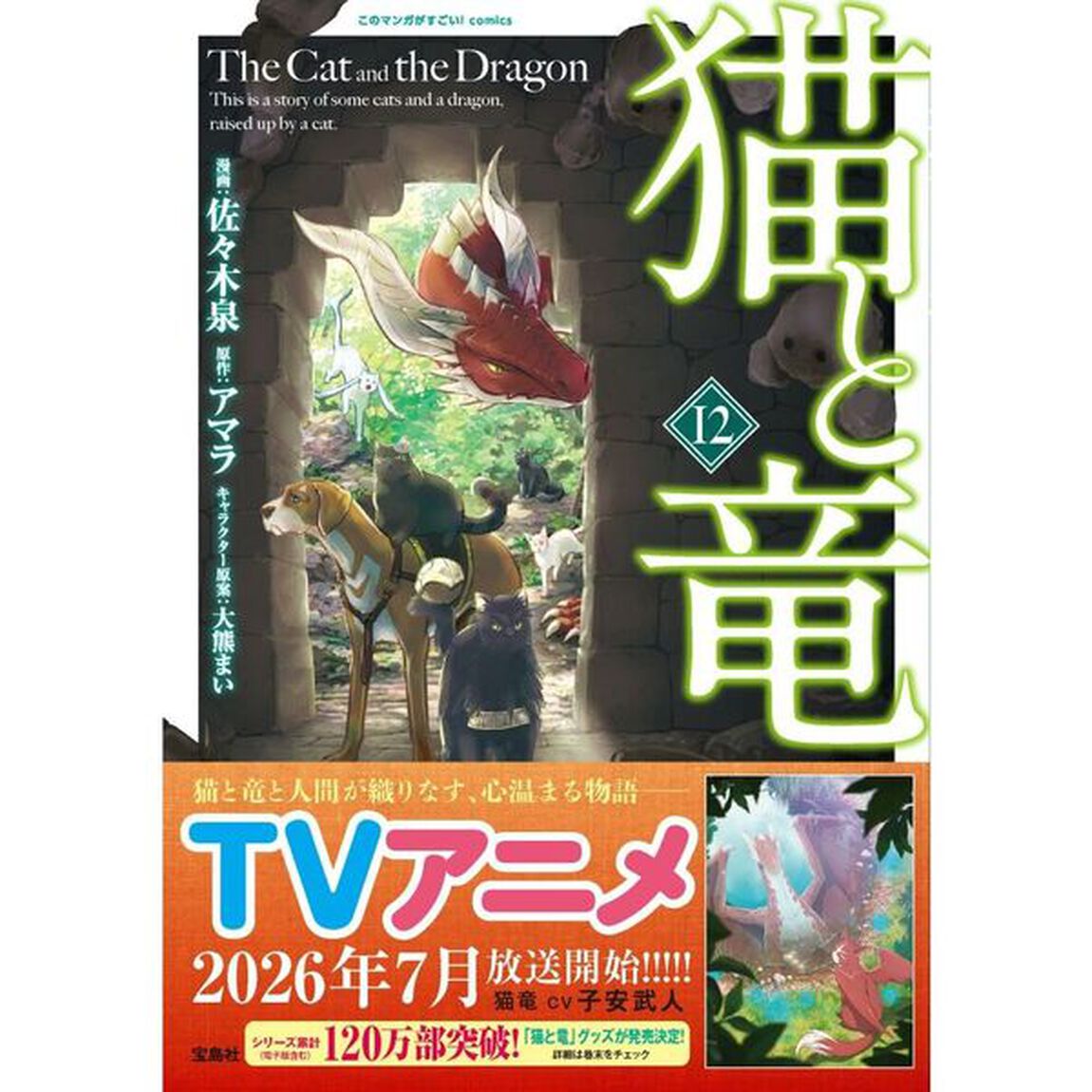 猫と竜　１２