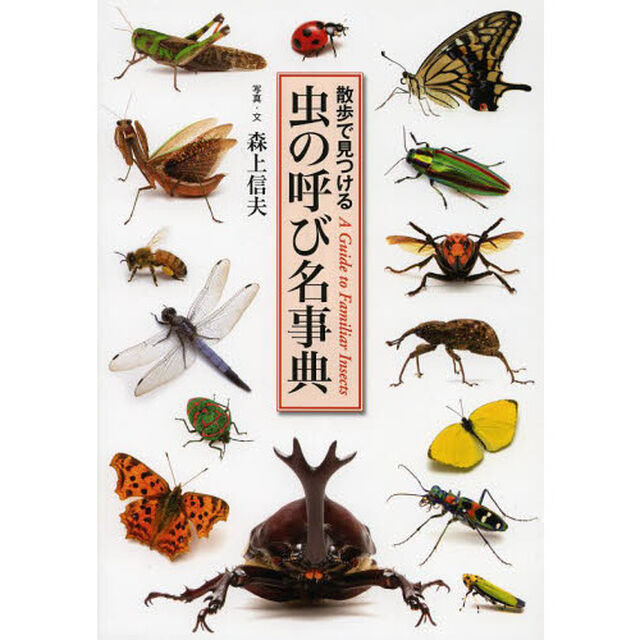 虫の呼び名事典 (散歩で見つける)